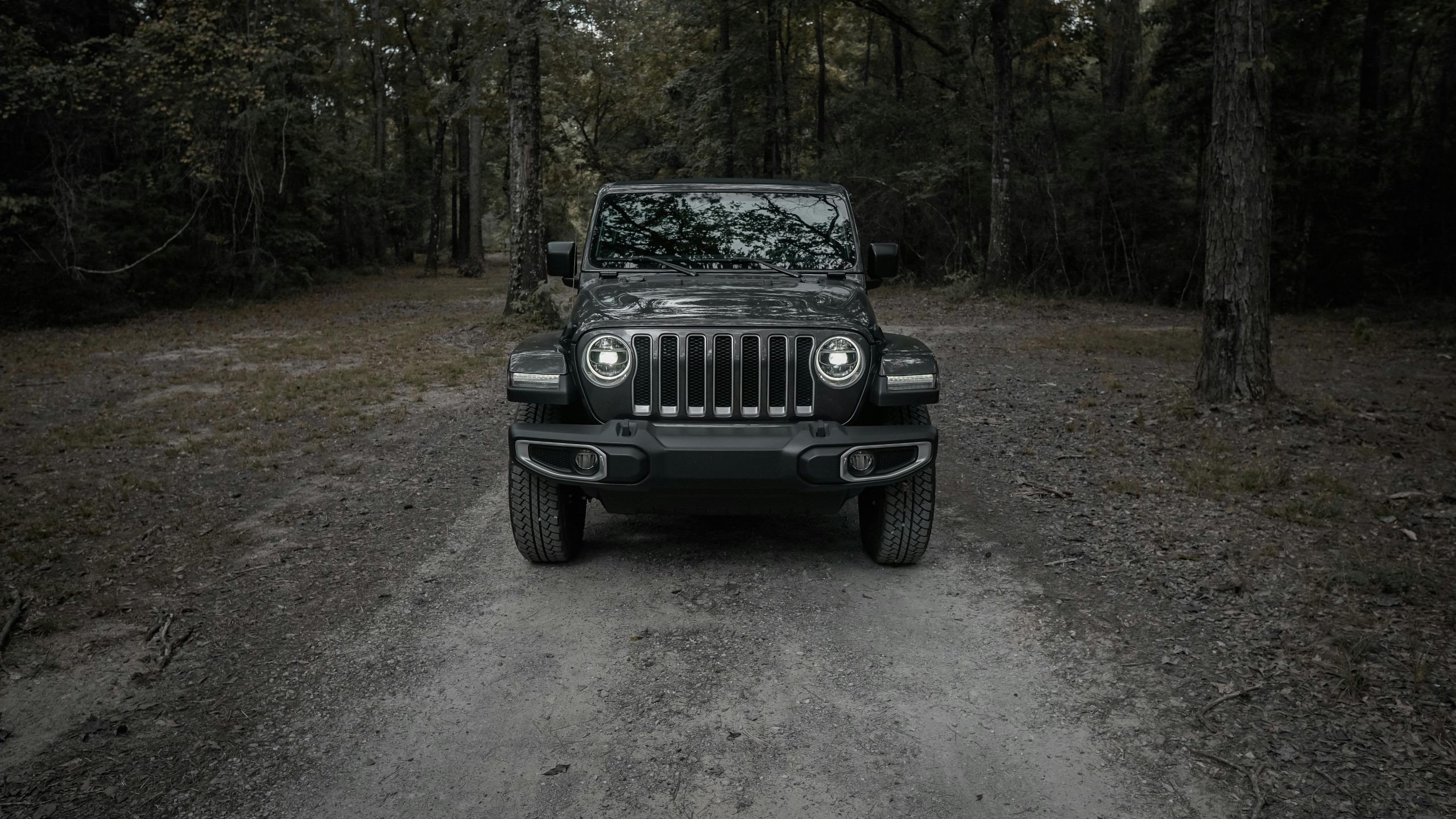 Black Jeep An Iconic Adventure in Boston